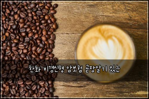 한화 비갱신형 암보험 곧장알기  있는