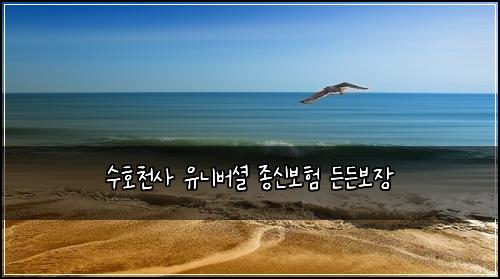 수호천사 유니버셜 종신보험 든든보장 
