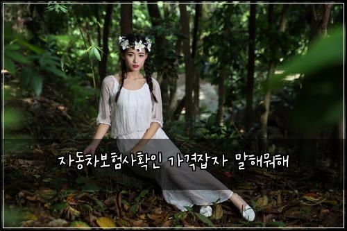 자동차보험사확인 가격잡자 말해뭐해