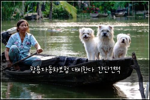 항용자동차보험 대비한다  간단견적
