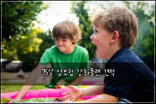 75살 암보험 강화플랜  견적