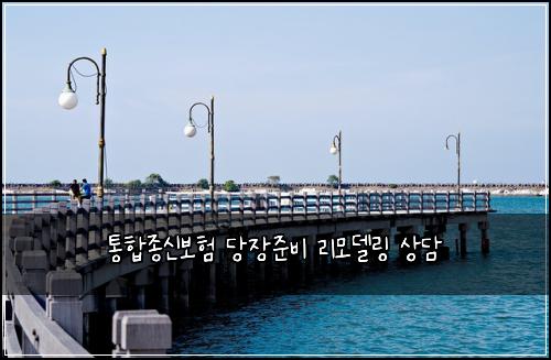 통합종신보험 당장준비  리모델링 상담