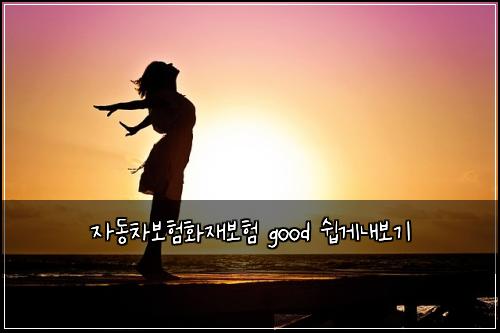 자동차보험화재보험 good 쉽게내보기