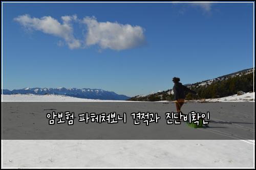 암보험 파헤쳐보니  견적과 진단비확인