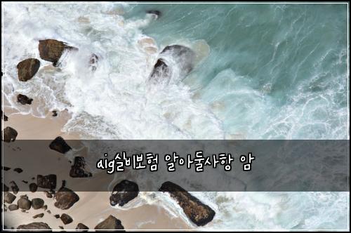 aig실비보험 알아둘사항  암