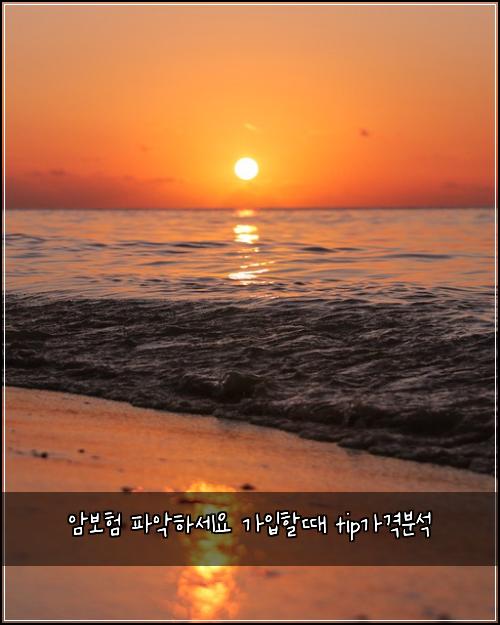 ์๋ณดํ ํ์
ํ์ธ์ ๊ฐ์
ํ ๋ tip๊ฐ๊ฒฉ๋ถ์
