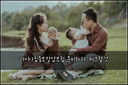 ๋ผ์ด๋์ง์ค๋ณด์ฅ์๋ณดํ ์ค๋นํ๋ผ ์ฒดํฌํ ๊ฒ