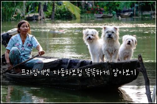 프라임에셋 자동차보험 똑똑하게 알아보기
