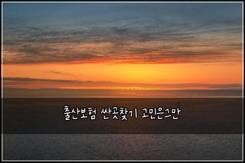 출산보험 싼곳찾기  고민은그만