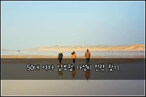 50대 여자 암보험 가성비 전략 찾기