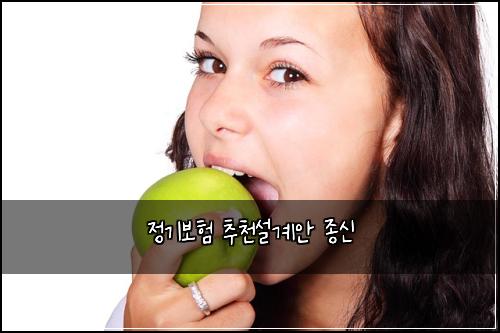 정기보험 추천설계안  종신