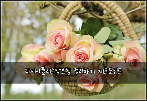 라이나플러스암보험 정리하기  체크포인트