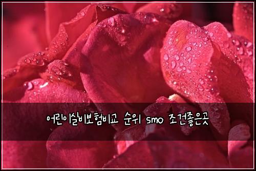 어린이실비보험비교 순위 smo 조건좋은곳