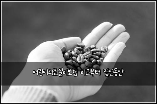 어린이의료실비보험 비교부터  몇년동안