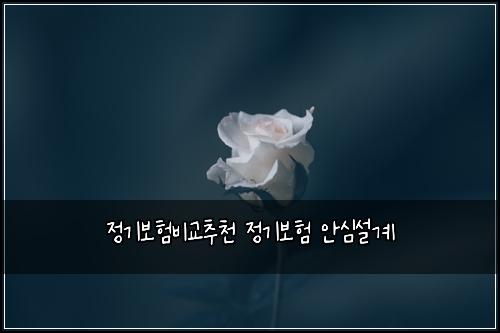 정기보험비교추천 정기보험 안심설계
