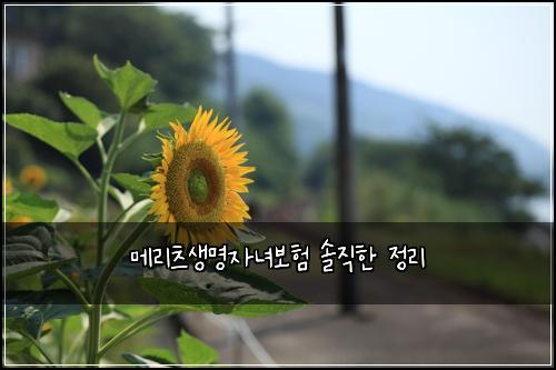 메리츠생명자녀보험 솔직한 정리