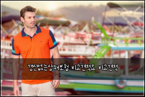 갱신없는상해보험 비교견적요  비교견적