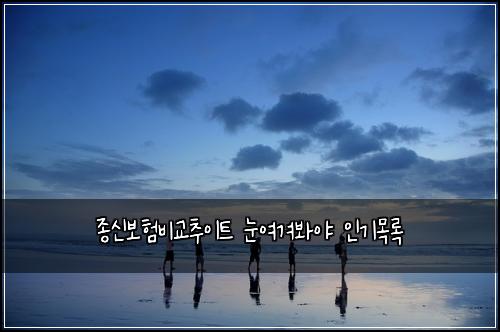종신보험비교추이트 눈여겨봐야 인기목록