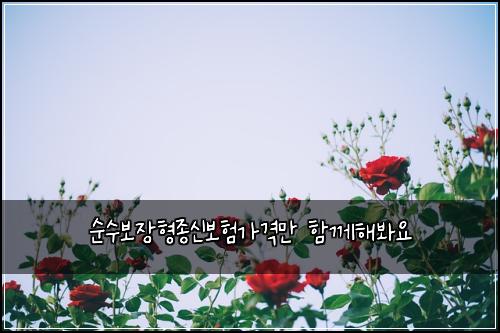 ์์๋ณด์ฅํ์ข
์ ๋ณดํ๊ฐ๊ฒฉ๋ง ํจ๊ปํด๋ด์