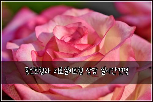 종신보험과 의료실비보험 상담 실시간견적