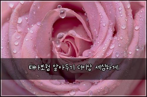 태아보험 알아두기  더이상 세심하게