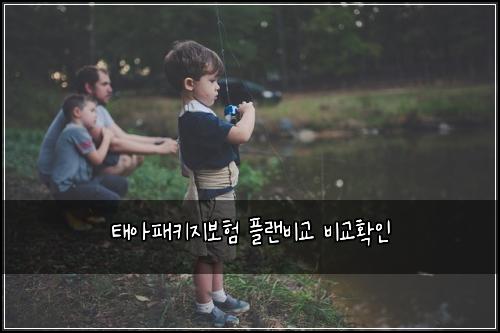 태아패키지보험 플랜비교  비교확인