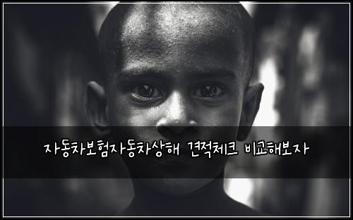 μλ차보νμλμ°¨μν΄ κ²¬μ μ²΄ν¬ λΉκ΅ν΄λ³΄μ