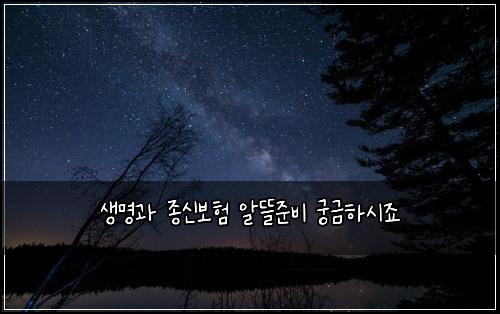 생명과 종신보험 알뜰준비  궁금하시죠