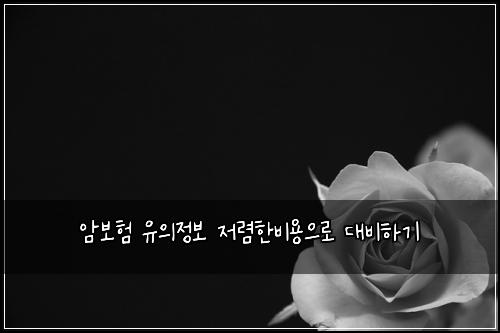 ์๋ณดํ ์ ์์ ๋ณด ์ ๋ ดํ๋น์ฉ์ผ๋ก ๋๋นํ๊ธฐ