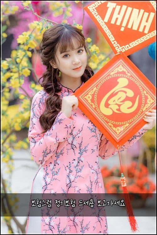 ๋ณดํ๊ทธ๋ผ ์ ๊ธฐ๋ณดํ ๋์ธ์ฉ ๋ณด๊ณ ๊ฐ์ธ์