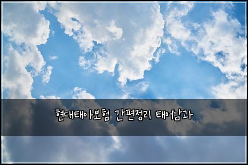 현대태아보험 간편정리  태어남과