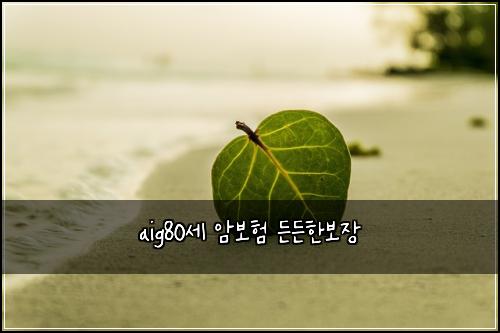 aig80์ธ ์๋ณดํ ๋ ๋ ํ๋ณด์ฅ