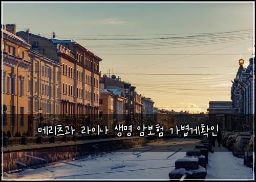 메리츠과 라이나 생명 암보험 가볍게확인 