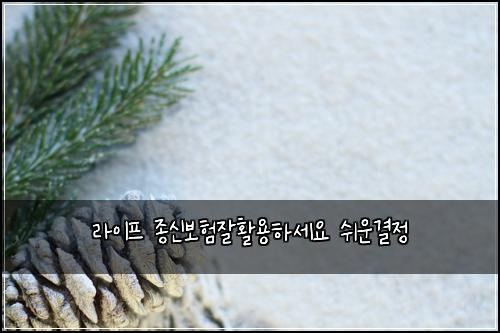 ๋ผ์ดํ ์ข
์ ๋ณดํ์ํ์ฉํ์ธ์ ์ฌ์ด๊ฒฐ์ 
