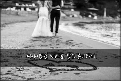 씨아이보험 제대로 알고 준비하기