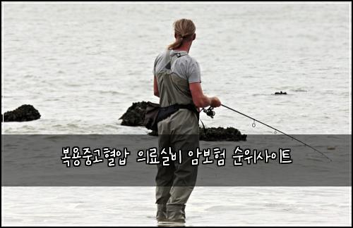 복용중고혈압 의료실비 암보험 순위사이트 
