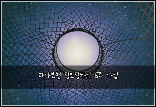 태아보험 정보정하기  6주 가입