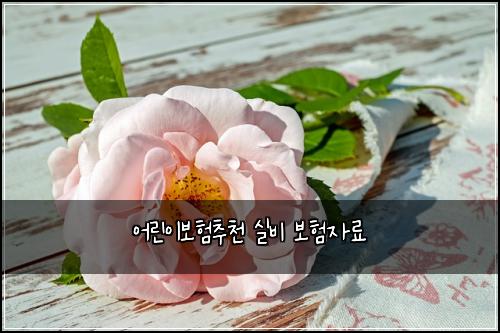 ์ด๋ฆฐ์ด๋ณดํ์ถ์ฒ ์ค๋น ๋ณดํ์๋ฃ