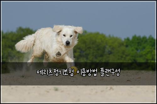 ๋ฉ๋ฆฌ์ธ ์ ๊ธฐ๋ณดํ ์ด์ฉ๋ฐฉ๋ฒ ํ๋๊ตฌ์ฑ
