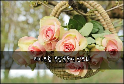 ํ์๋ณดํ ๋ถ๋ด์์ค์ฌ ์ฐ๋ชจ์