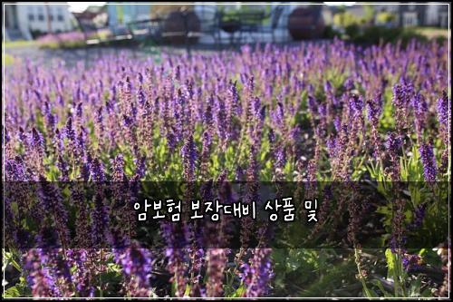 μ보ν 보μ₯λλΉ μν λ°