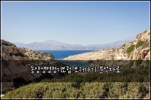 동양생명정기보험 보러가기  분석자료