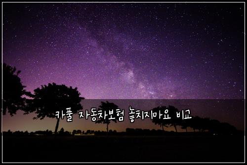 ์นดํ ์๋์ฐจ๋ณดํ ๋์น์ง๋ง์ ๋น๊ต