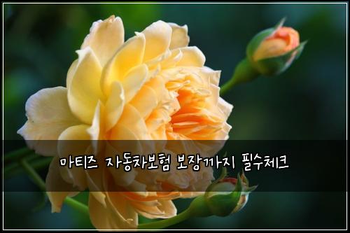 ė§ķ°ģ¦ ģė차볓ķ ė³“ģ„ź¹ģ§ ķģ첓ķ¬