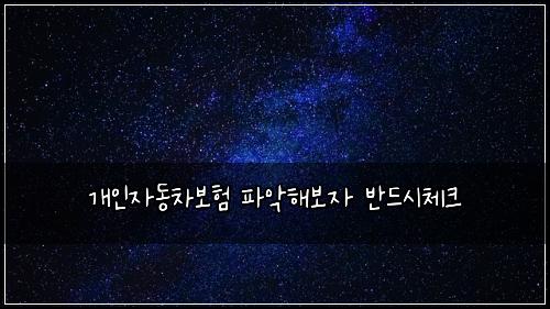 ๊ฐ์ธ์๋์ฐจ๋ณดํ ํ์
ํด๋ณด์ ๋ฐ๋์์ฒดํฌ