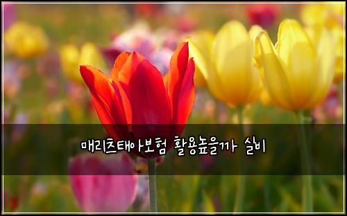 매리츠태아보험 활용높을까  실비