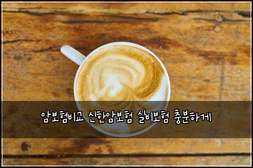 ์๋ณดํ๋น๊ต ์ ํ์๋ณดํ ์ค๋น๋ณดํ ์ถฉ๋ถํ๊ฒ