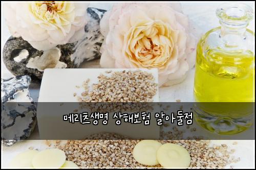๋ฉ๋ฆฌ์ธ ์๋ช
์ํด๋ณดํ ์์๋์ 