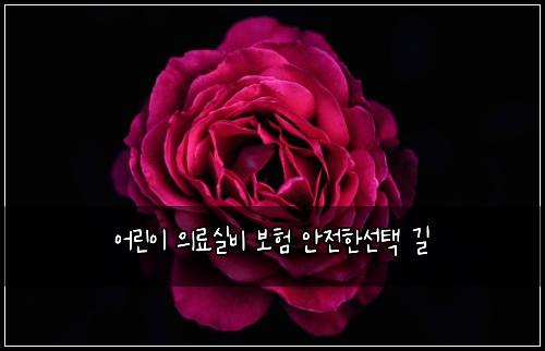 어린이 의료실비 보험 안전한선택  길