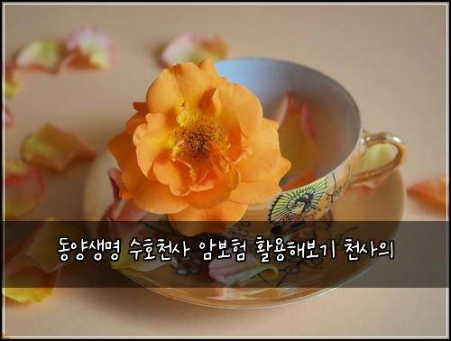 동양생명 수호천사 암보험 활용해보기  천사의